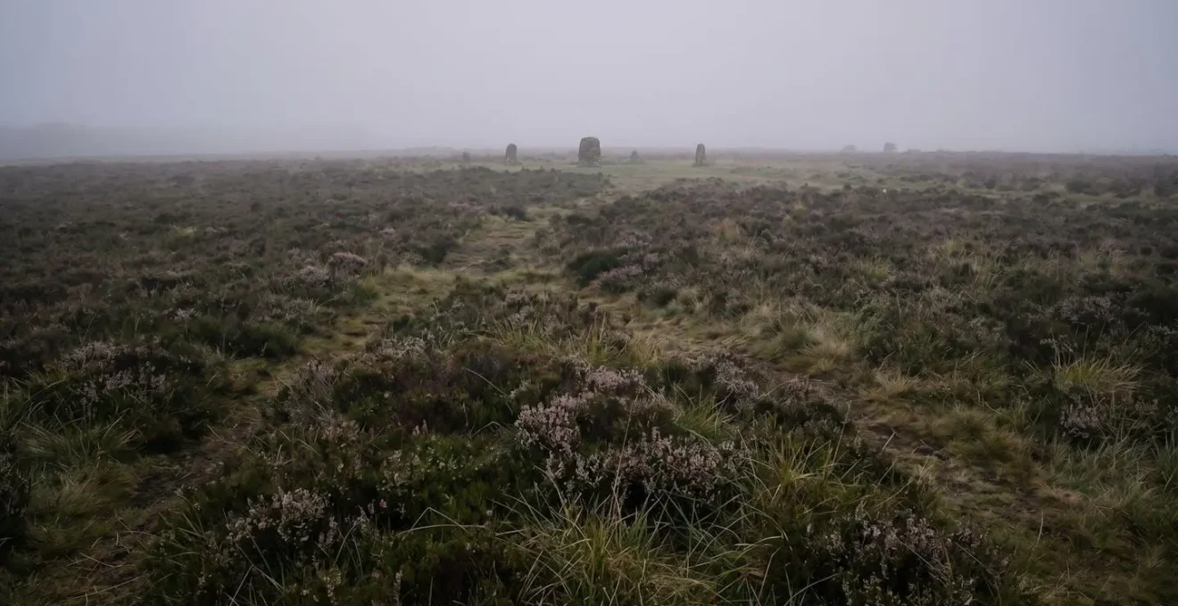 Solemn view of Culloden battlefield memorial stones in misty Scottish moorland
