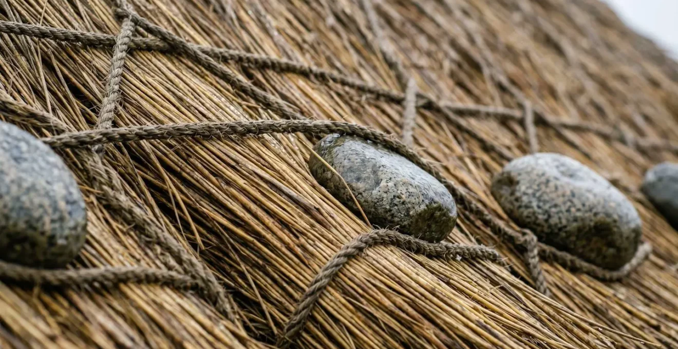 Close-up macro detail of marram grass thatching on Hebridean blackhouse roof